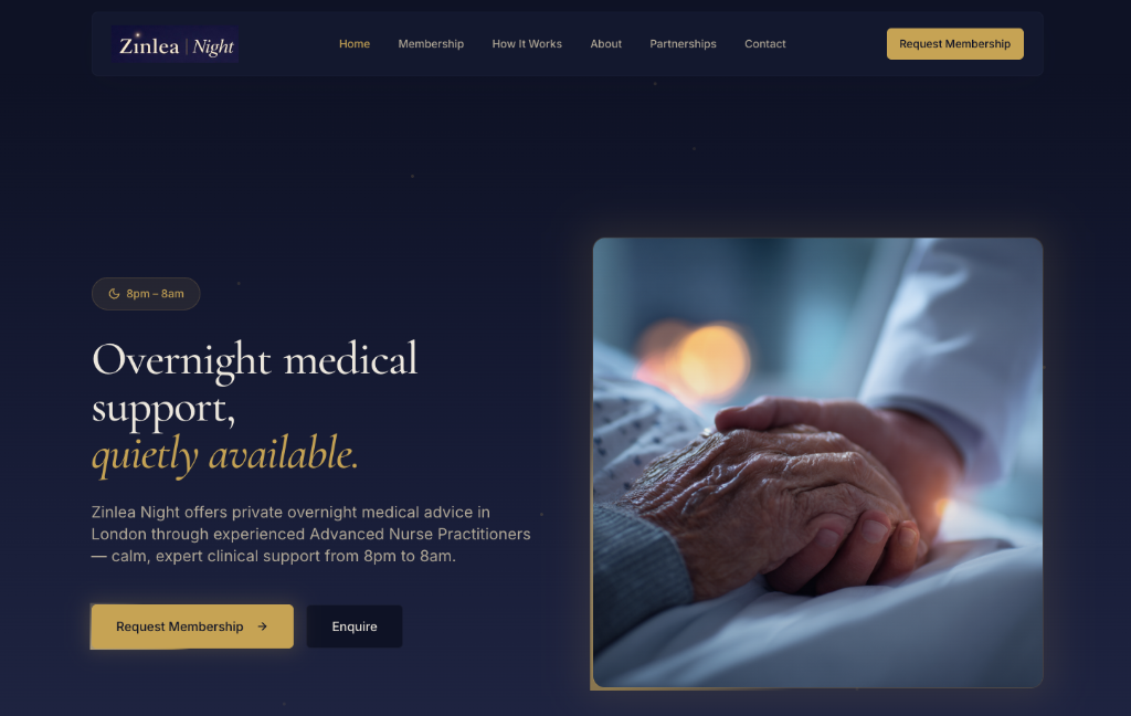 Zinlea Night website screenshot